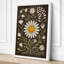 Daisy Studies Botanical - Wrapped Canvas-878557704-878557719