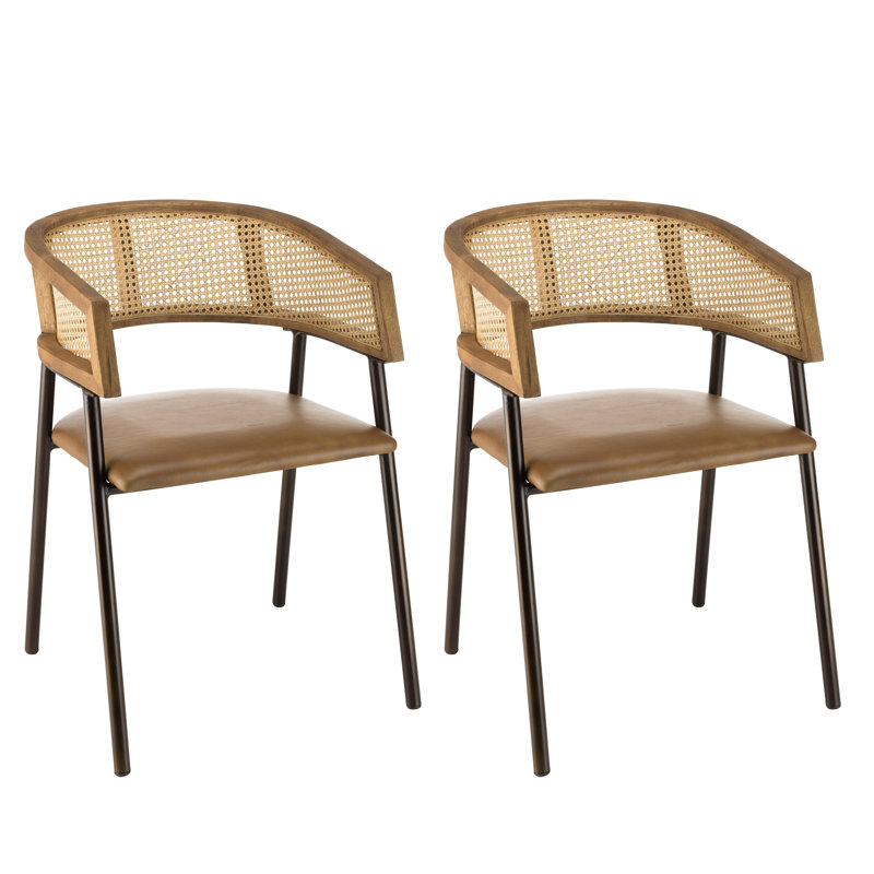 Alphon 48cm H Upholstered Armchair in Brown