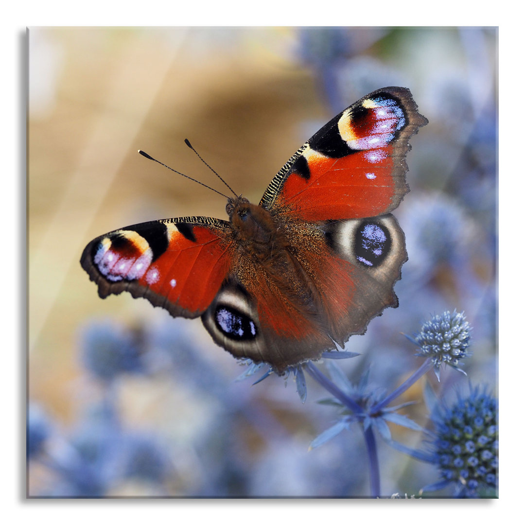 Glasbild Schöner Schmetterling Pfauenauge