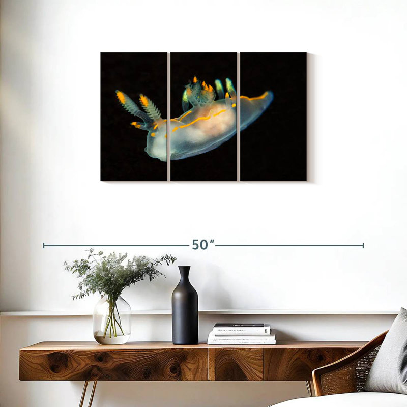 Sea Slug In Dark Waters