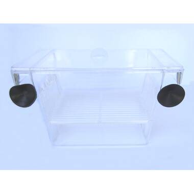 Protein Skimmer 35-75 Gal Ocean Coral Reef Fish Saltwater Aquarium Pump E7144C460ED04C26A471571D4C12ECFC Tucker Murphy Pet