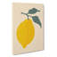 Lemon Fruit - Wrapped Canvas Print-61881968