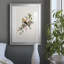 Spring Spring Pine Grosbeak - peinture encadrée-123802659-123802658