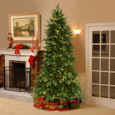 90' Lighted Spruce Christmas Tree