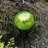 Glass Abstract Gazing Ball-64543462