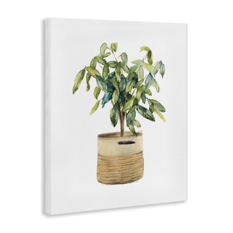 Art mural sur toile de plante en pot par Lanie Loreth, H 20 po x l 16 po