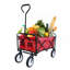Chariot de plage pliable-113447327