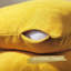 Housses de coussin décoratif-1487257516-1487257514