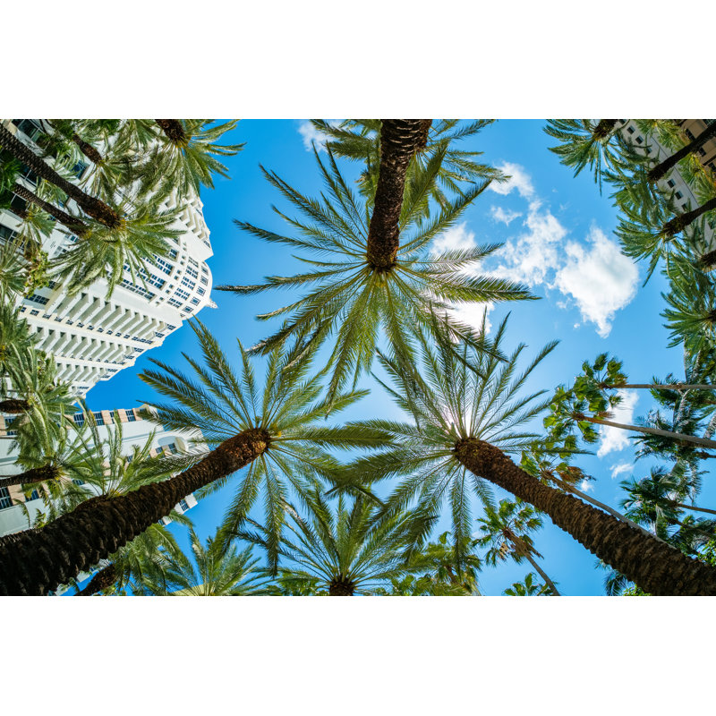 Miami Beach Cityscape - Photographie sur toile tendue, H 20 po x l 30 po