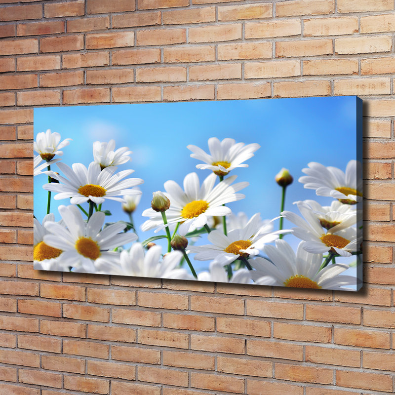 Daisies - Wrapped Canvas Print