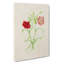 Illustration Of Pink Carnation Flowers - Wrapped Canvas-55362470