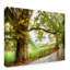 «Wet Path» par Danny Head - reproduction de photo sur toile-1332084202
