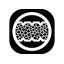 Matratzen + Lattenrost Massivmoebel24 Foam Mattress-106589434-106589436