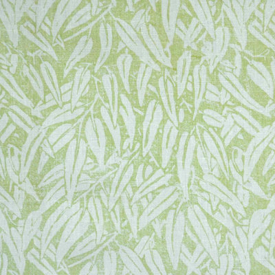 Willow Fabric