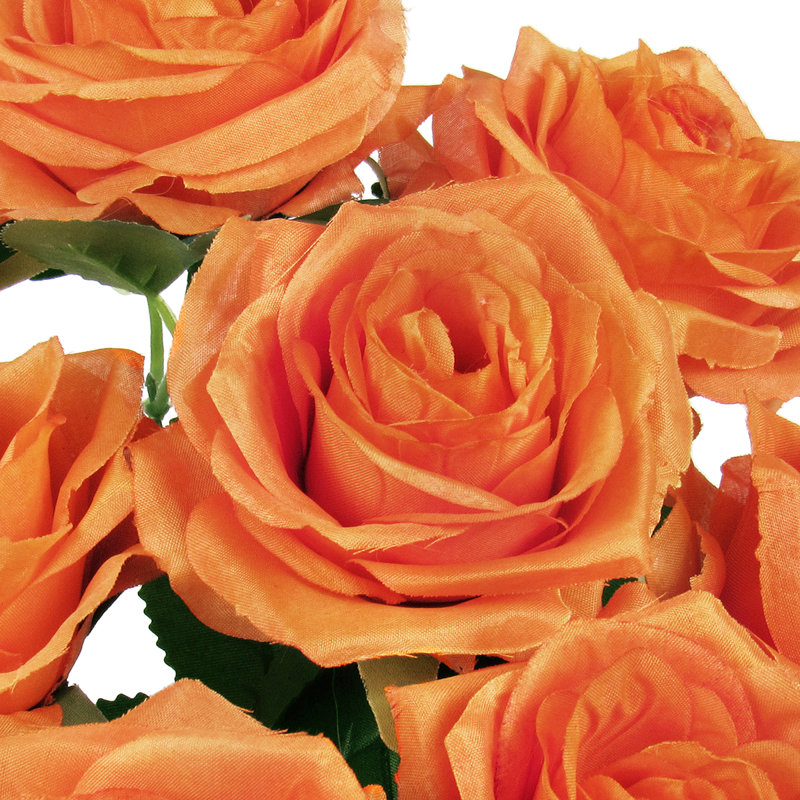 Grand rosier, Orange