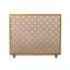 Iron Fireplace Screen