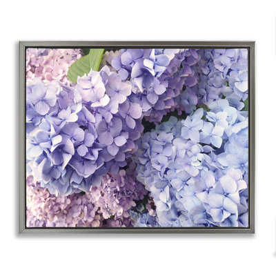 Pastel Hydrangea Flower Petals