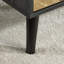 Narka 1 Drawer Coffee Table with Storage Shelf-1528771524