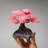 Large Genuine Rose Quartz Clustered Gemstone Tree on Amethyst Matrix Crystal