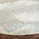 Danya Aqua/Cream Indoor/Outdoor Area Rug