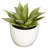 Southwest Collection Silk Agave Plant Set