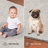 Modern Plush Pet and Kids Friendly Solid Color Off White Area Rugs, Stain & Fade Resistance, Perfect for Living Room, Dining Room, Bedroom, Playroom and Kidsroom, Event, Wedding, Amberlyn Binded Rug-434859311