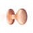 Or rose est en rupture de stock