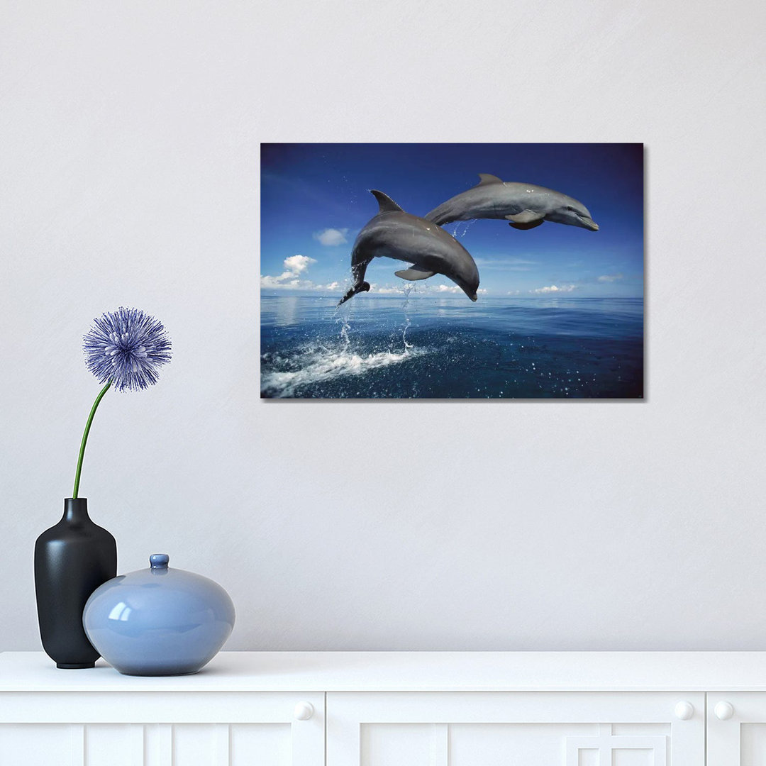 Bottlenose Dolphin Pair Jumping, Caribbean by Konrad Wothe - Wrapped Canvas Print