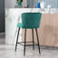 Catharina Upholstered Counter Stool with Metal Frame-1300344400