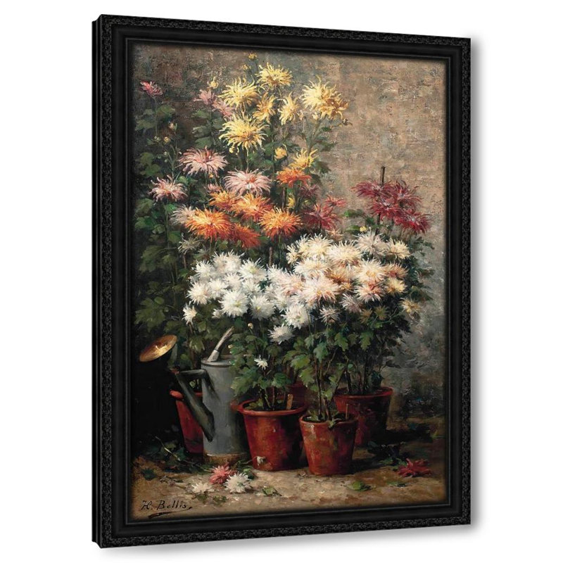 Chrysanthemums