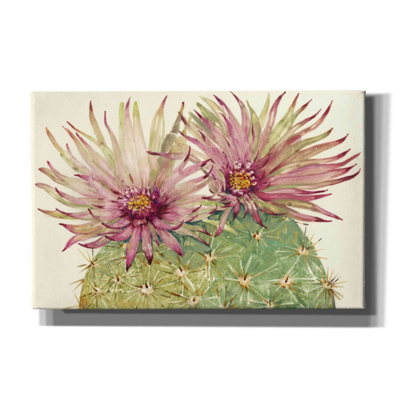 «Cactus Blossoms I» par Tim O'toole, art mural sur toile, H 26 po x l 40 po x P 1,5 po