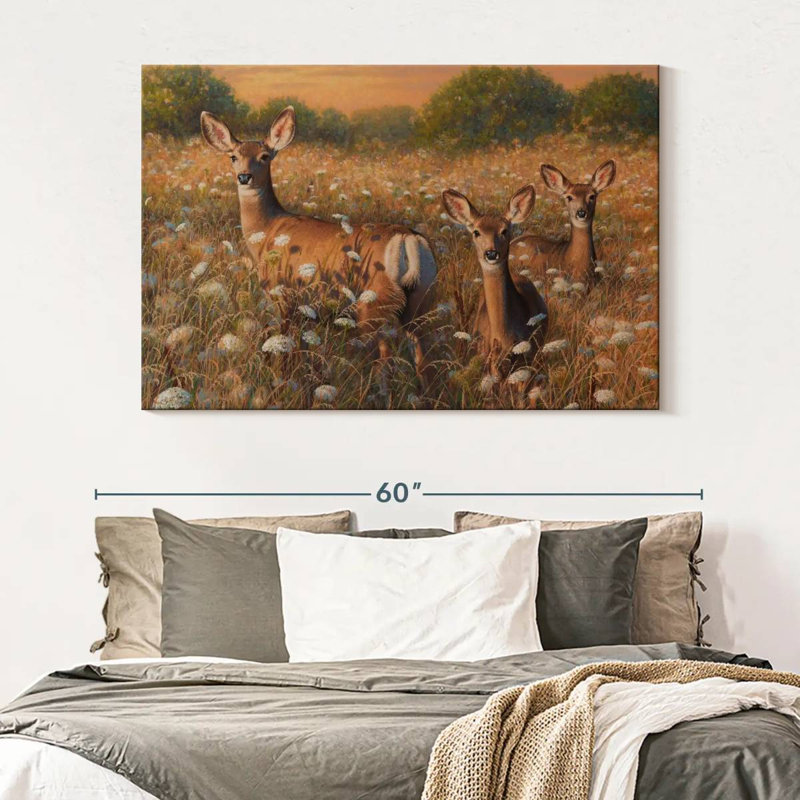 Brampt Wrapped Light And Lace, 34" H x 51" W