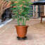 Aryen Caddy Plant Stand-559380414