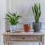 Aries Glazed Handle Planter-809274186