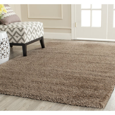 Assar Area Rug
