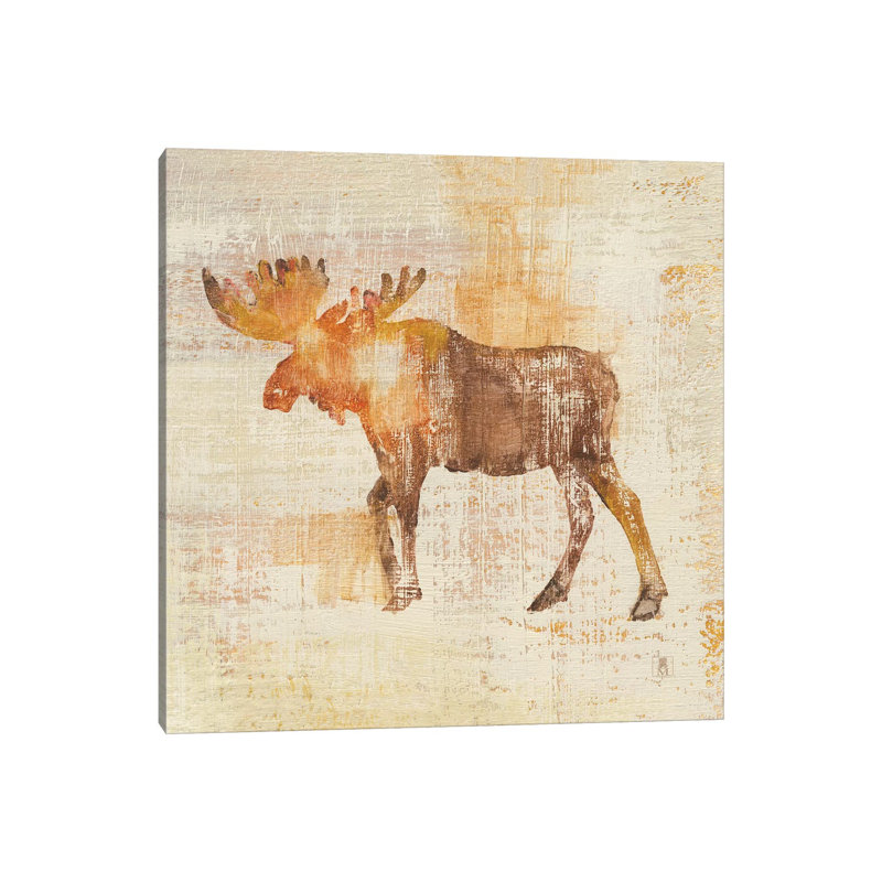 Moose Study by Studio Mousseau - Wrapped Canvas Print, 66.04 cm H x 66.04 cm W x 1.91 cm D