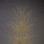 Birch Tree with Warm White LED Lights-63383338-63383335
