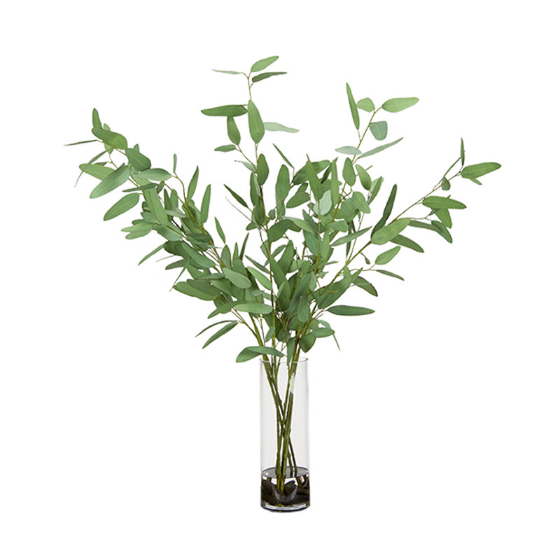Eucalyptus bleu dans un vase Rowan