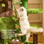 Cadre d'escalade moderne pour chat