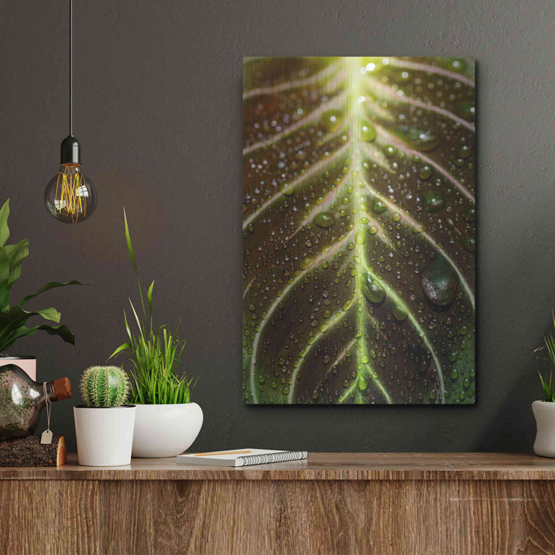 «Morning Dew» par Luxe, H 16 po x l 12 po