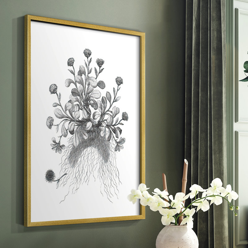 «B&W Plant Speciment VII», reproduction encadrée - bois massif, H 14 po x l 11 po, Or