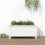 Blaguna Wood Pot Planter-844694373-844694370-844694369