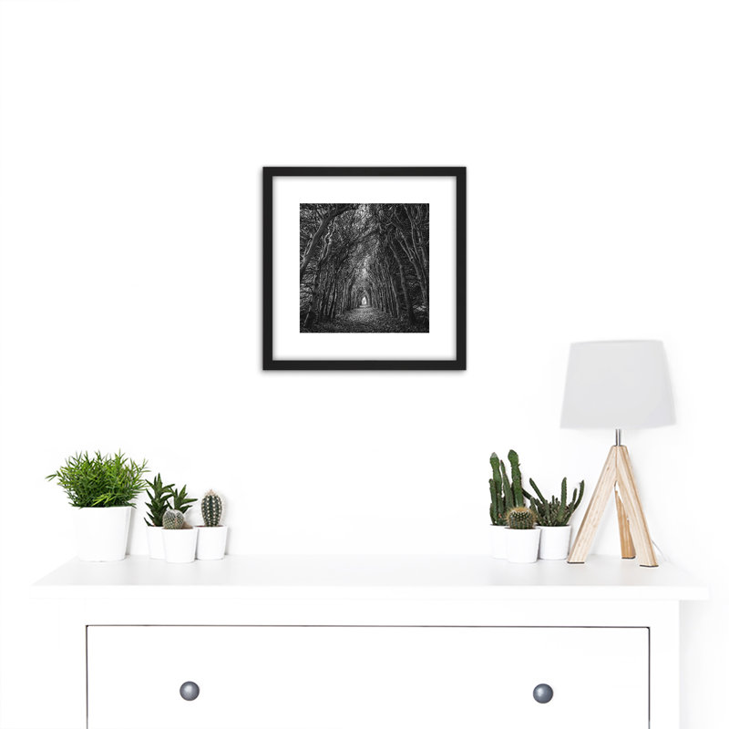 Tree Tunnel Lane Atmospheric Black White - Single Picture Frame Print