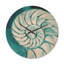 Horloge murale Chambered Nautilus-63617992