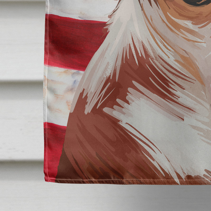 Polyester à 2 côtés 28 x 40 po drapeau maison, Ratier de Majorque