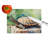 Turtles Tortoises Glass Cutting Board Large