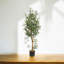 120cm Faux Olive Tree Tree in Pot