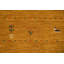 Tapis carré en laine petits animaux de style Gabbeh 12 x 12