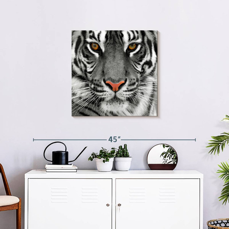 Brampt regardant le tigre, H 24 po x l 24 po