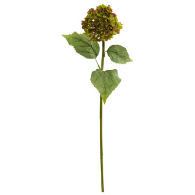 Hydrangea Arrangement
